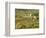 Italy, Tuscany. Vines and Olive Groves of a Rural Village-Julie Eggers-Framed Photographic Print