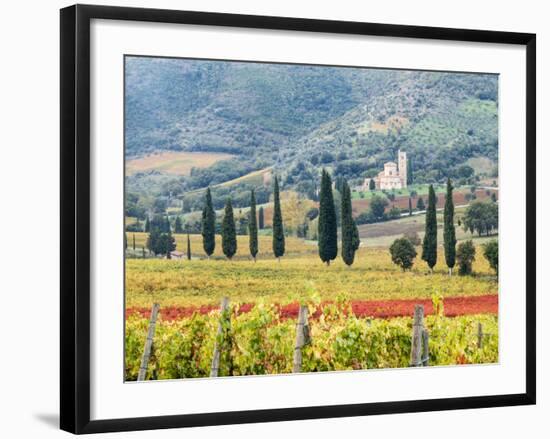 Italy, Tuscany. Vineyard and Olive Trees with the Abbey of Sant Antimo-Julie Eggers-Framed Photographic Print