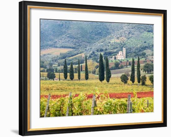 Italy, Tuscany. Vineyard and Olive Trees with the Abbey of Sant Antimo-Julie Eggers-Framed Photographic Print