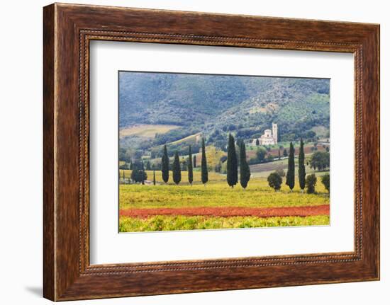 Italy, Tuscany. Vineyard and Olive Trees with the Abbey of Sant Antimo-Julie Eggers-Framed Photographic Print