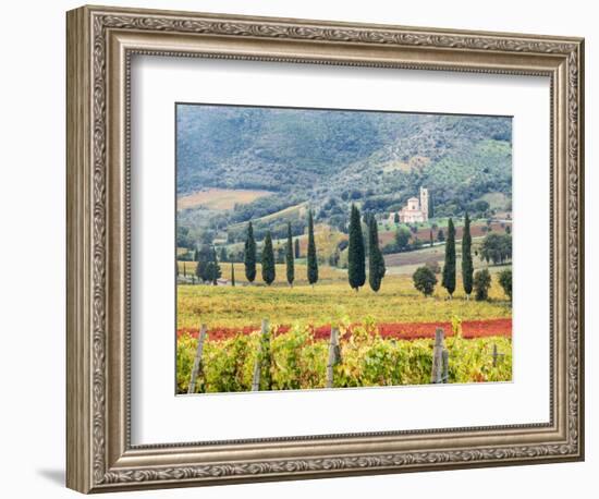 Italy, Tuscany. Vineyard and Olive Trees with the Abbey of Sant Antimo-Julie Eggers-Framed Photographic Print