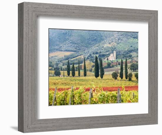 Italy, Tuscany. Vineyard and Olive Trees with the Abbey of Sant Antimo-Julie Eggers-Framed Photographic Print