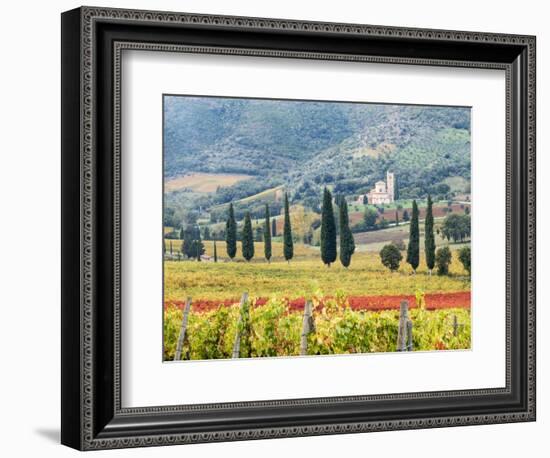 Italy, Tuscany. Vineyard and Olive Trees with the Abbey of Sant Antimo-Julie Eggers-Framed Photographic Print