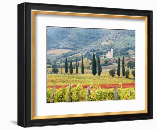 Italy, Tuscany. Vineyard and Olive Trees with the Abbey of Sant Antimo-Julie Eggers-Framed Photographic Print