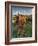 Italy,Tuscany. Vineyard in Autumn in the Chianti Region of Tuscany-Julie Eggers-Framed Photographic Print