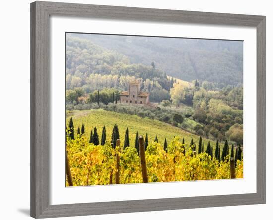 Italy, Tuscany. Vineyard in Autumn in the Chianti Region of Tuscany-Julie Eggers-Framed Photographic Print