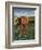 Italy,Tuscany. Vineyard in Autumn in the Chianti Region of Tuscany-Julie Eggers-Framed Photographic Print