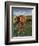 Italy,Tuscany. Vineyard in Autumn in the Chianti Region of Tuscany-Julie Eggers-Framed Photographic Print