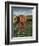 Italy,Tuscany. Vineyard in Autumn in the Chianti Region of Tuscany-Julie Eggers-Framed Photographic Print