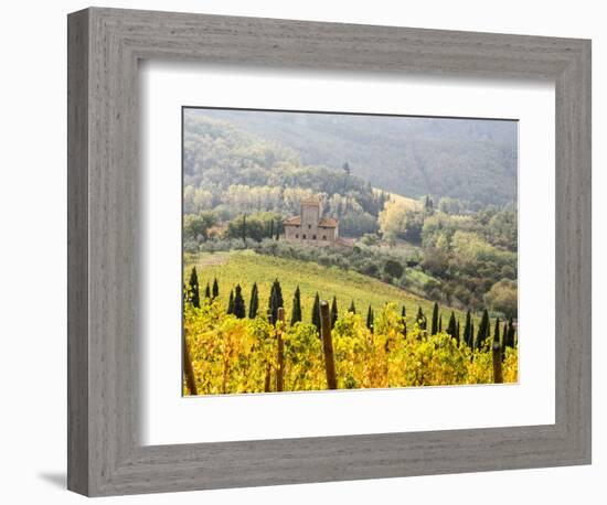 Italy, Tuscany. Vineyard in Autumn in the Chianti Region of Tuscany-Julie Eggers-Framed Photographic Print