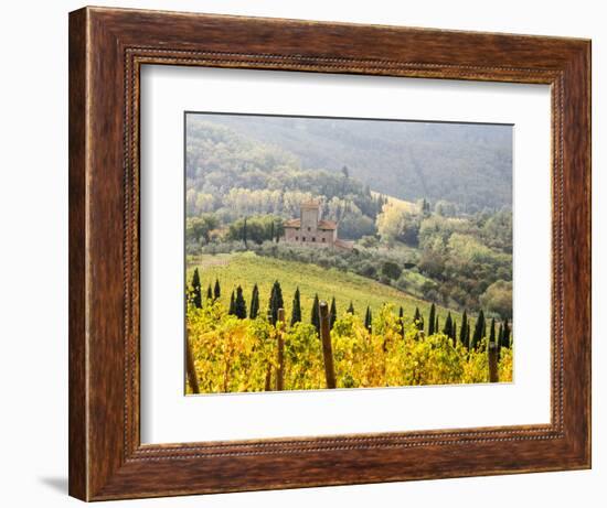 Italy, Tuscany. Vineyard in Autumn in the Chianti Region of Tuscany-Julie Eggers-Framed Photographic Print