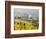 Italy, Tuscany. Vineyard in Autumn in the Chianti Region of Tuscany-Julie Eggers-Framed Photographic Print