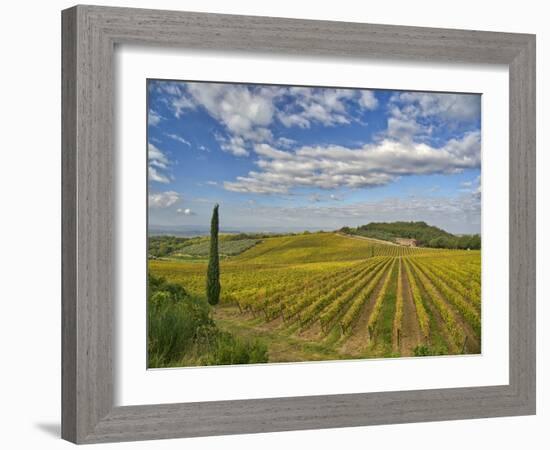 Italy, Tuscany. Vineyard leading to a farmhouse in Tuscany with blue skies and puffy clouds.-Julie Eggers-Framed Photographic Print