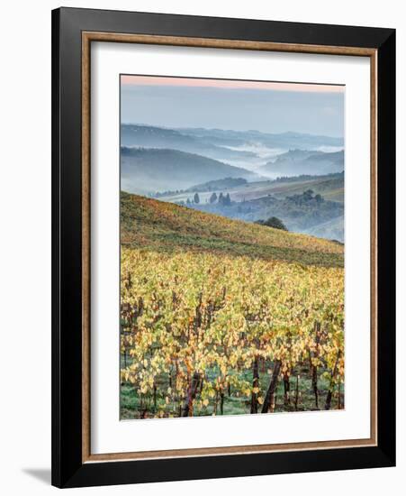 Italy, Tuscany. Vineyard with Foggy Valley Beyond in Chianti Region-Julie Eggers-Framed Photographic Print