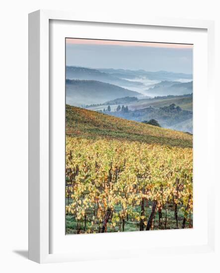 Italy, Tuscany. Vineyard with Foggy Valley Beyond in Chianti Region-Julie Eggers-Framed Photographic Print