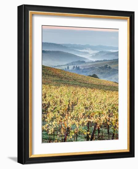 Italy, Tuscany. Vineyard with Foggy Valley Beyond in Chianti Region-Julie Eggers-Framed Photographic Print