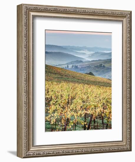 Italy, Tuscany. Vineyard with Foggy Valley Beyond in Chianti Region-Julie Eggers-Framed Photographic Print