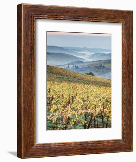 Italy, Tuscany. Vineyard with Foggy Valley Beyond in Chianti Region-Julie Eggers-Framed Photographic Print