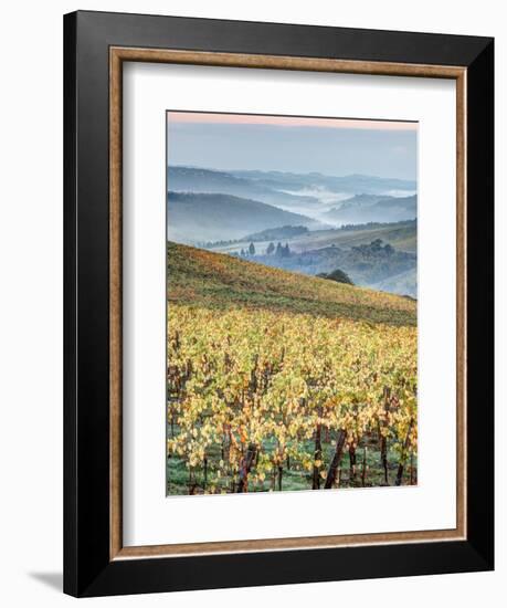 Italy, Tuscany. Vineyard with Foggy Valley Beyond in Chianti Region-Julie Eggers-Framed Photographic Print