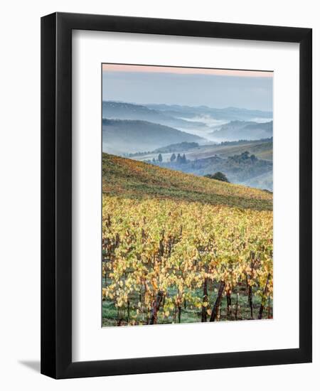 Italy, Tuscany. Vineyard with Foggy Valley Beyond in Chianti Region-Julie Eggers-Framed Photographic Print