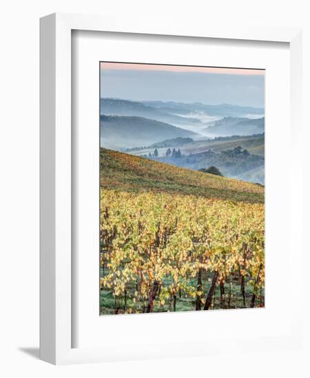 Italy, Tuscany. Vineyard with Foggy Valley Beyond in Chianti Region-Julie Eggers-Framed Photographic Print