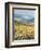 Italy, Tuscany. Vineyard with Foggy Valley Beyond in Chianti Region-Julie Eggers-Framed Photographic Print