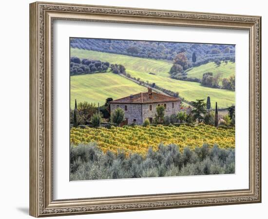 Italy, Tuscany. Vineyards and Olive Trees in Autumn by a House-Julie Eggers-Framed Premium Photographic Print
