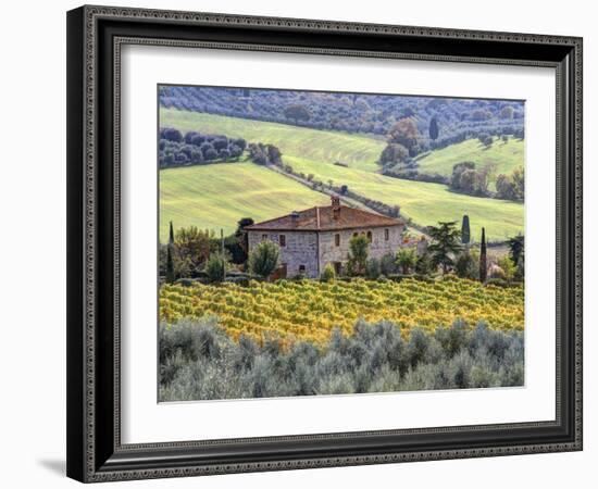 Italy, Tuscany. Vineyards and Olive Trees in Autumn by a House-Julie Eggers-Framed Premium Photographic Print