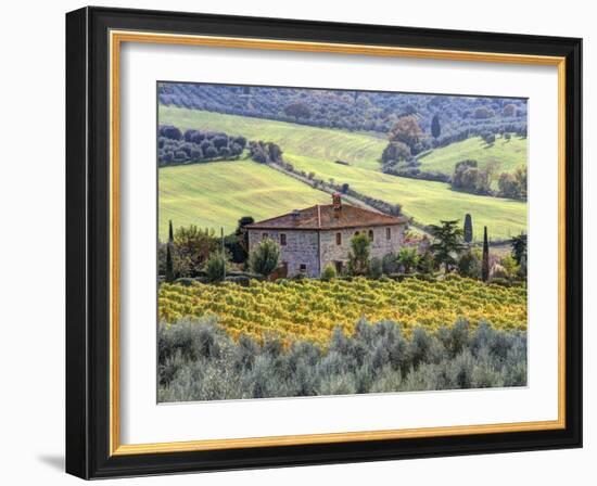 Italy, Tuscany. Vineyards and Olive Trees in Autumn by a House-Julie Eggers-Framed Premium Photographic Print