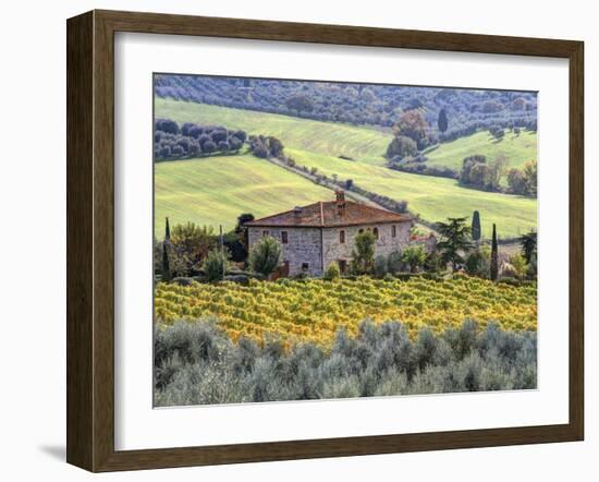 Italy, Tuscany. Vineyards and Olive Trees in Autumn by a House-Julie Eggers-Framed Photographic Print