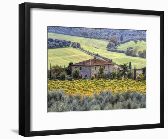 Italy, Tuscany. Vineyards and Olive Trees in Autumn by a House-Julie Eggers-Framed Photographic Print