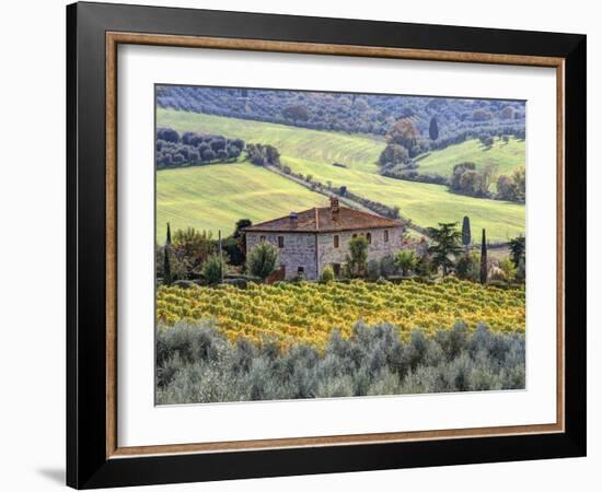 Italy, Tuscany. Vineyards and Olive Trees in Autumn by a House-Julie Eggers-Framed Photographic Print