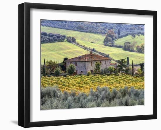 Italy, Tuscany. Vineyards and Olive Trees in Autumn by a House-Julie Eggers-Framed Photographic Print