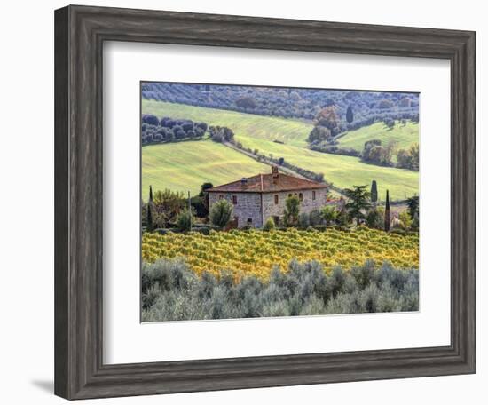 Italy, Tuscany. Vineyards and Olive Trees in Autumn by a House-Julie Eggers-Framed Premium Photographic Print