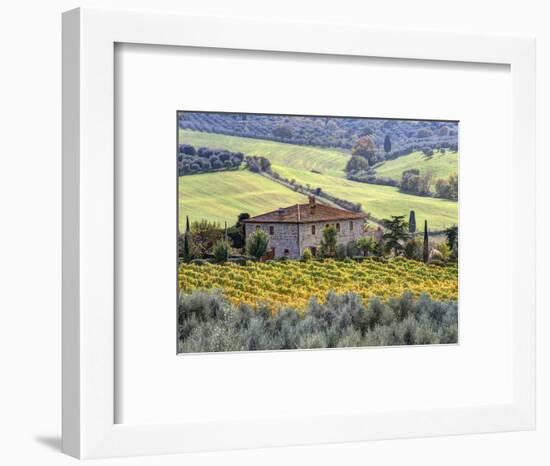 Italy, Tuscany. Vineyards and Olive Trees in Autumn by a House-Julie Eggers-Framed Premium Photographic Print