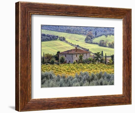 Italy, Tuscany. Vineyards and Olive Trees in Autumn by a House-Julie Eggers-Framed Premium Photographic Print