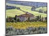 Italy, Tuscany. Vineyards and Olive Trees in Autumn by a House-Julie Eggers-Mounted Premium Photographic Print