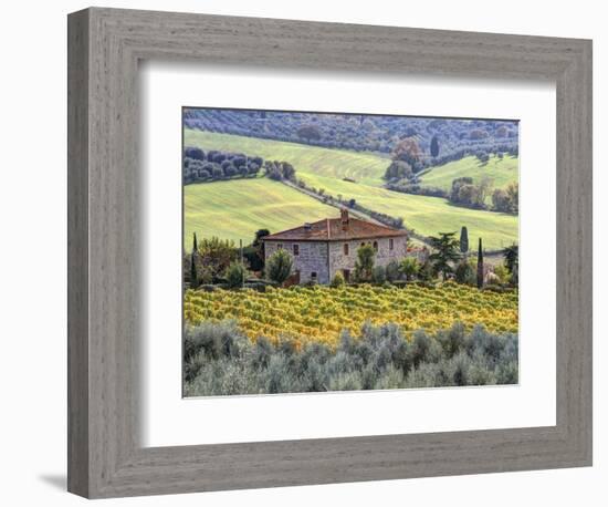 Italy, Tuscany. Vineyards and Olive Trees in Autumn by a House-Julie Eggers-Framed Photographic Print