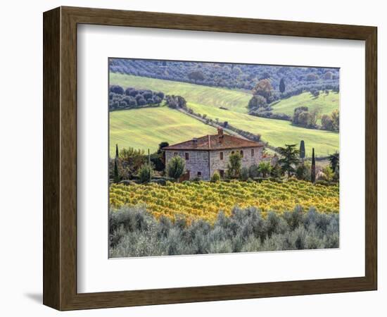 Italy, Tuscany. Vineyards and Olive Trees in Autumn by a House-Julie Eggers-Framed Photographic Print