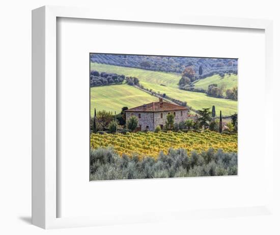 Italy, Tuscany. Vineyards and Olive Trees in Autumn by a House-Julie Eggers-Framed Photographic Print