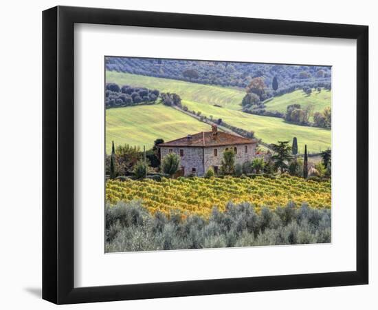 Italy, Tuscany. Vineyards and Olive Trees in Autumn by a House-Julie Eggers-Framed Photographic Print