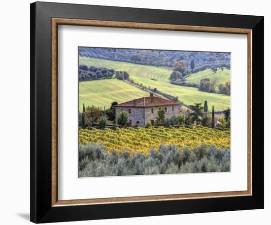 Italy, Tuscany. Vineyards and Olive Trees in Autumn by a House-Julie Eggers-Framed Photographic Print