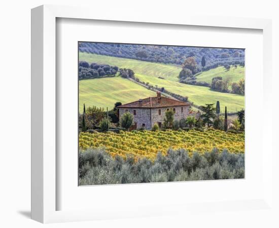 Italy, Tuscany. Vineyards and Olive Trees in Autumn by a House-Julie Eggers-Framed Photographic Print