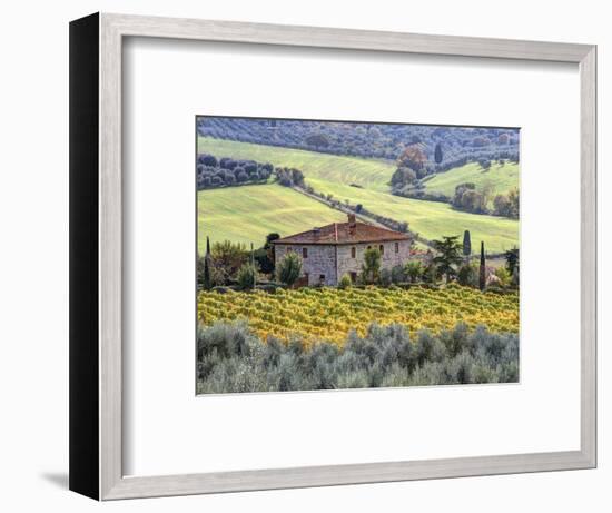 Italy, Tuscany. Vineyards and Olive Trees in Autumn by a House-Julie Eggers-Framed Photographic Print