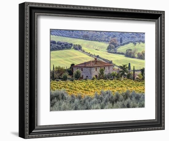 Italy, Tuscany. Vineyards and Olive Trees in Autumn by a House-Julie Eggers-Framed Photographic Print