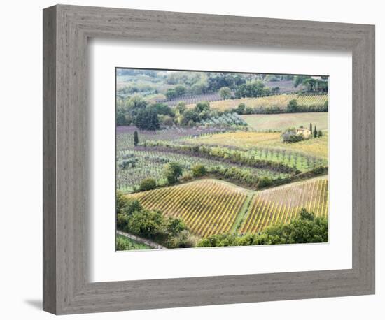 Italy, Tuscany. Vineyards and Olive Trees in Autumn in the Val Dorcia-Julie Eggers-Framed Photographic Print