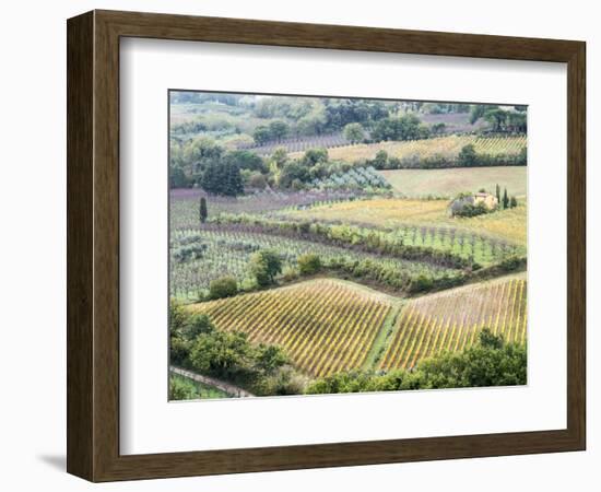 Italy, Tuscany. Vineyards and Olive Trees in Autumn in the Val Dorcia-Julie Eggers-Framed Photographic Print