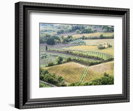 Italy, Tuscany. Vineyards and Olive Trees in Autumn in the Val Dorcia-Julie Eggers-Framed Photographic Print