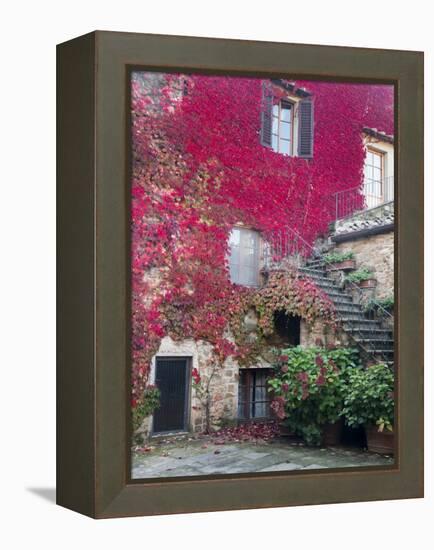 Italy, Tuscany, Volpaia. Red Ivy Covering the Walls of the Buildings-Julie Eggers-Framed Premier Image Canvas