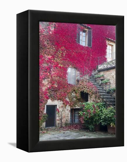 Italy, Tuscany, Volpaia. Red Ivy Covering the Walls of the Buildings-Julie Eggers-Framed Premier Image Canvas